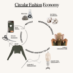 Circular Fashion Economy