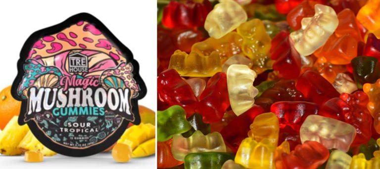 Mushroom Gummies