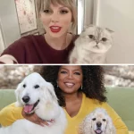 Rich Celebrity Pets